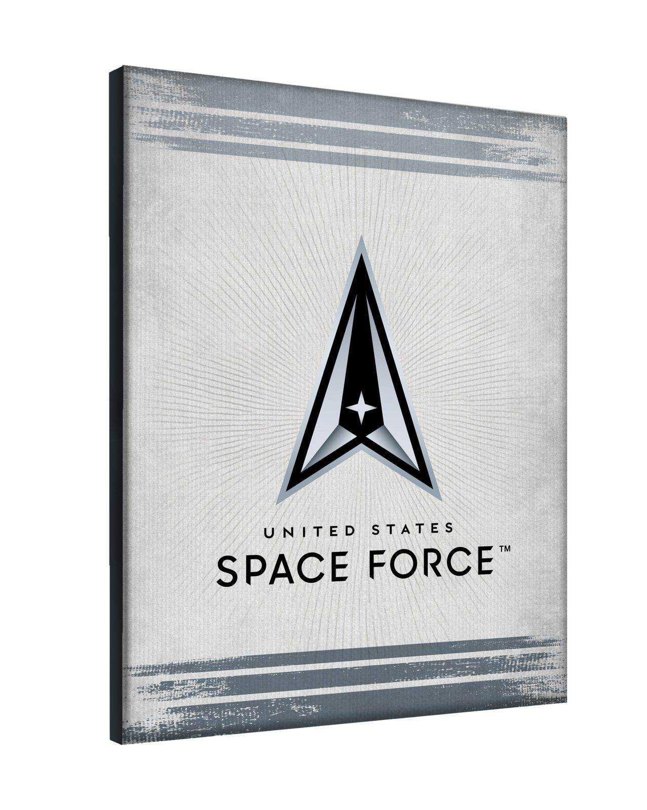United States Space Force 24x32 Logo Canvas Wall Art 2 United States Space Force 24x32 Logo Canvas Wall Art - Image 2
