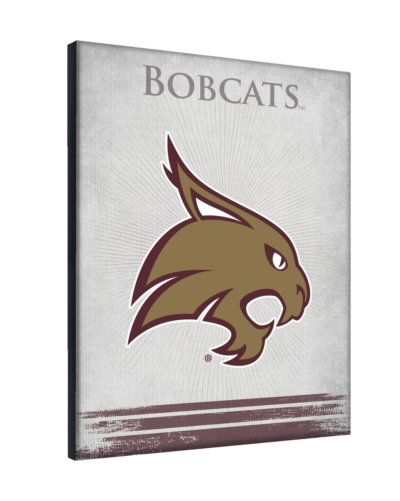 Texas State University 15x20 Logo Canvas Wall Art 2 Texas State University 15x20 Logo Canvas Wall Art - Image 2