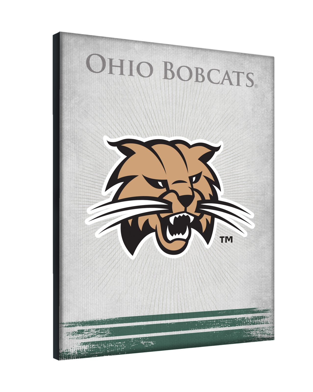 Ohio University 24x32 Logo Canvas Wall Art 2 Ohio University 24x32 Logo Canvas Wall Art - Image 2