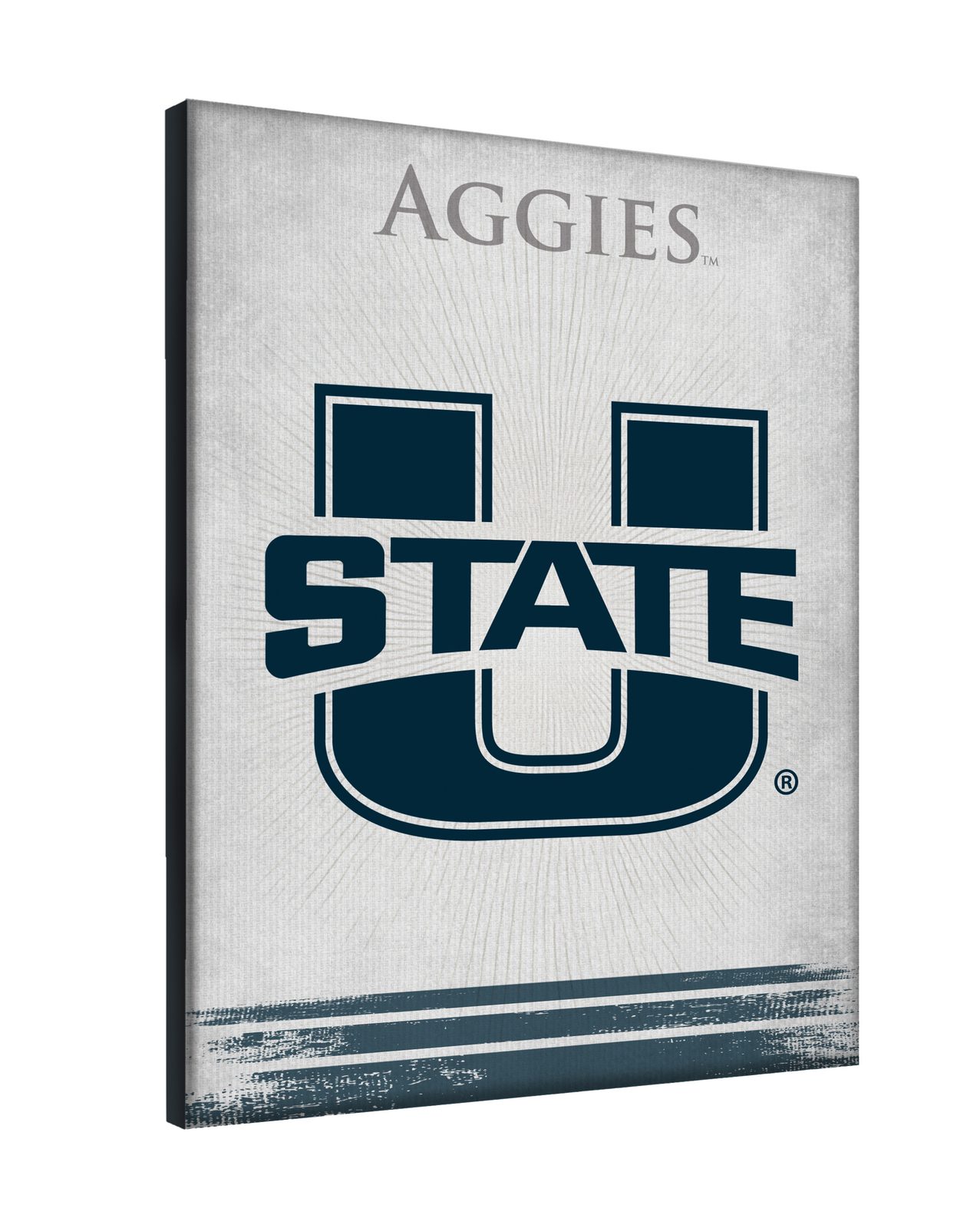 Utah State University 24x32 Logo Canvas Wall Art 2 Utah State University 24x32 Logo Canvas Wall Art - Image 2