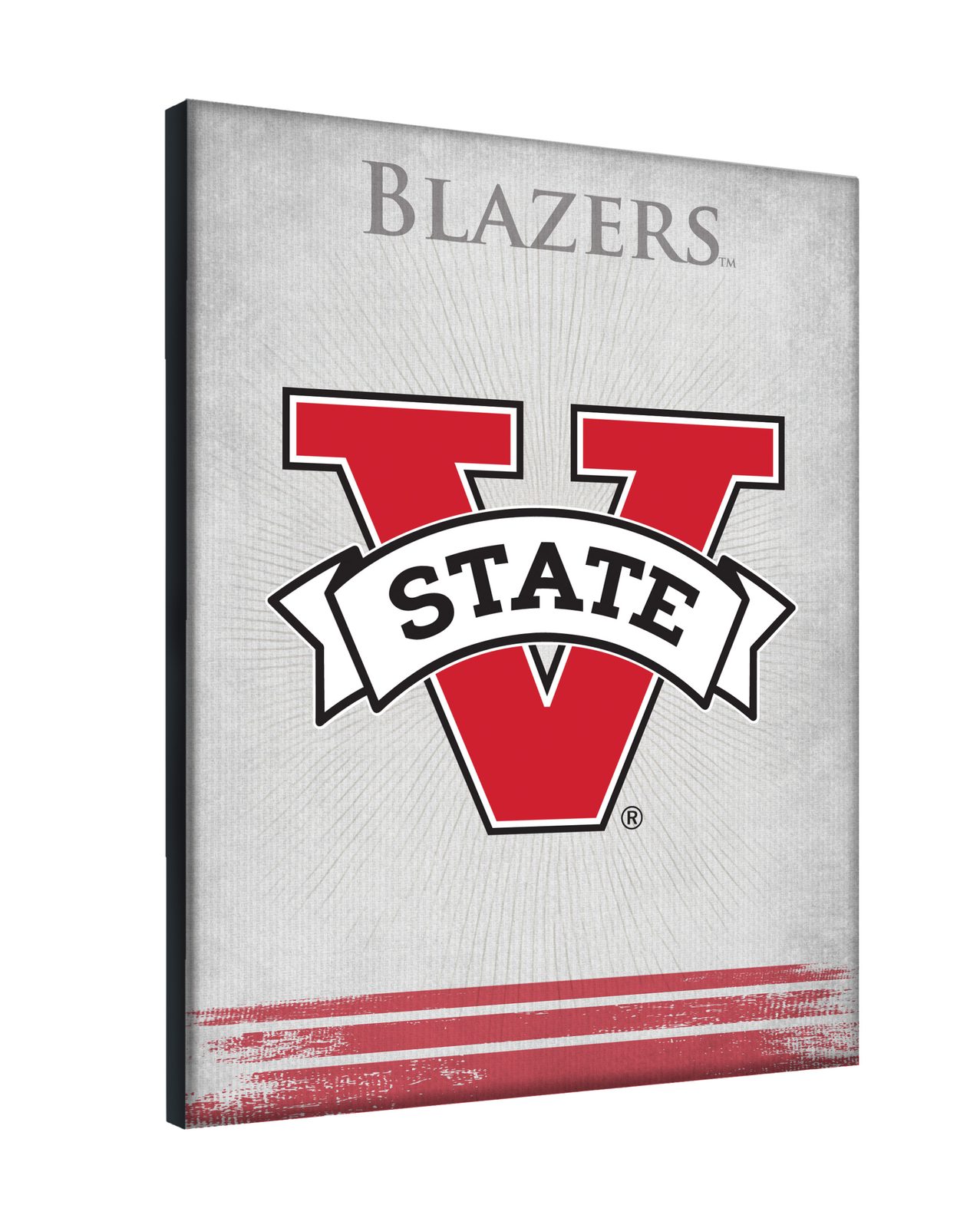 Valdosta State University 15x20 Logo Canvas Wall Art 2 Valdosta State University 15x20 Logo Canvas Wall Art - Image 2