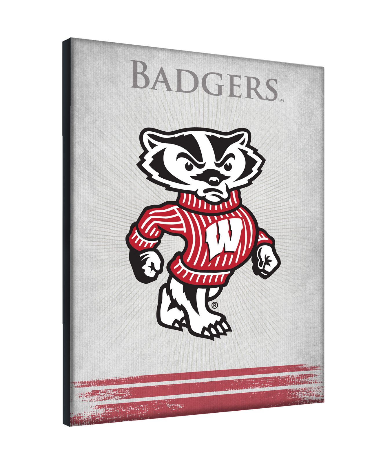 University of Wisconsin (Badger) 24x32 Logo Canvas Wall Art 2 University of Wisconsin (Badger) 24x32 Logo Canvas Wall Art - Image 2