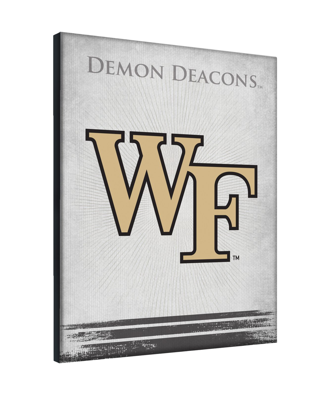 Wake Forest University 24x32 Logo Canvas Wall Art 2 Wake Forest University 24x32 Logo Canvas Wall Art - Image 2