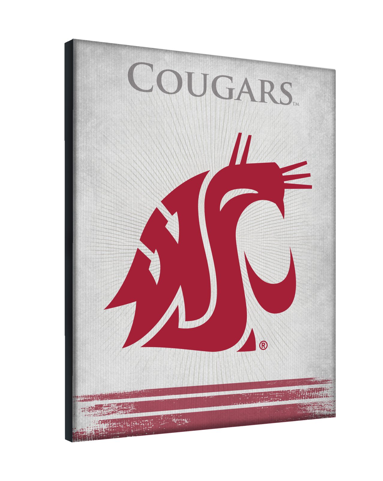 Washington State University 24x32 Logo Canvas Wall Art 2 Washington State University 24x32 Logo Canvas Wall Art - Image 2