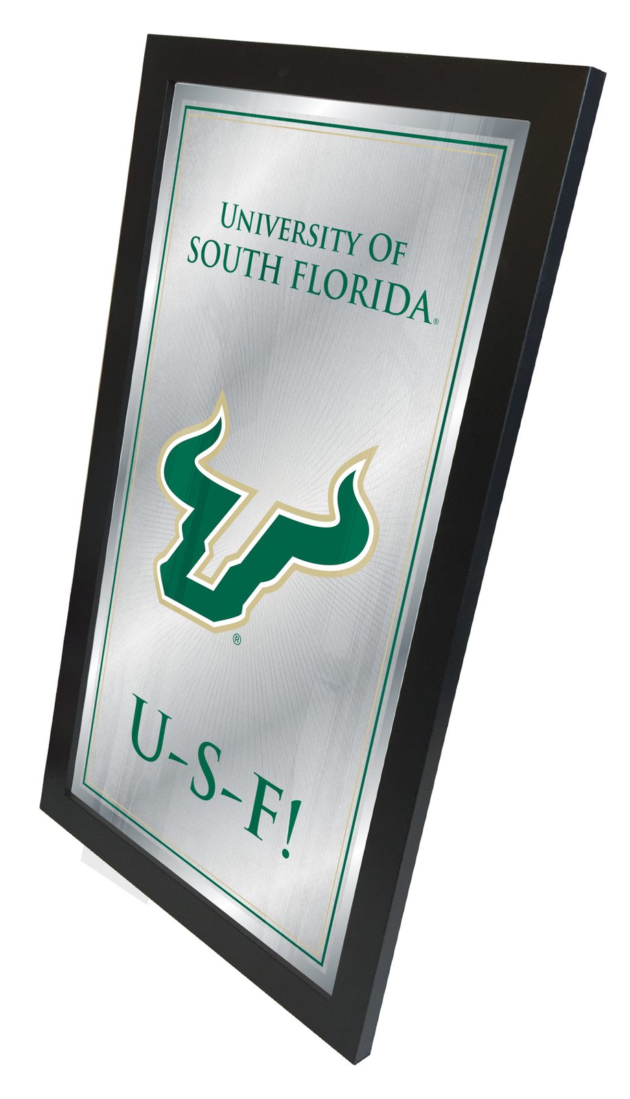 University of South Florida 26x15 Fight Song Wall Mirror 2 University of South Florida 26x15 Fight Song Wall Mirror - Image 2