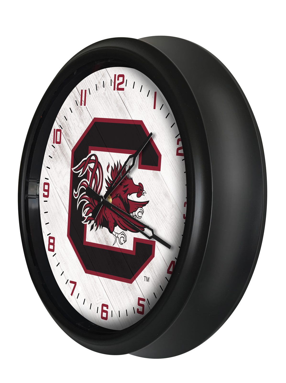University of South Carolina 14-Inch Indoor/Outdoor LED Wall Clock in Black 2 University of South Carolina 14-Inch Indoor/Outdoor LED Wall Clock in Black - Image 2