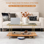 Modern 2-Tier Glass Coffee Table with Gold Steel Frame 13 Modern 2-Tier Glass Coffee Table with Gold Steel Frame