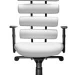 High-Back Ergonomic Office Chair with Lumbar Support and Adjustable Arms 13 High-Back Ergonomic Office Chair with Lumbar Support and Adjustable Arms
