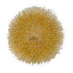 Gold Metal Sunburst Accent Lamp with Chic Rose Gold Design 6 Gold Metal Sunburst Accent Lamp with Chic Rose Gold Design