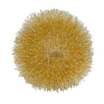 Gold Metal Sunburst Accent Lamp with Chic Rose Gold Design 7 Gold Metal Sunburst Accent Lamp with Chic Rose Gold Design