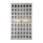 Letzel Satin Nickel 2-Light Wall Sconce with Seedy Glass