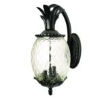 Lanai Matte Black Pineapple Wall Light with 3 Bulbs 6 Lanai Matte Black Pineapple Wall Light with 3 Bulbs