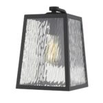 Hirche Modern Matte Black Outdoor Wall Light with Water Glass