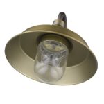Brushed Gold Shallow Plate Traditional Wall Light 17 Brushed Gold Shallow Plate Traditional Wall Light