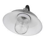 Silver Shallow Plate Wall Light with Matte Black Accents