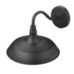 Burry Matte Black Farmhouse Wall Light with Seedy Glass Globe 12 Burry Matte Black Farmhouse Wall Light with Seedy Glass Globe