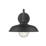 Burry Matte Black Farmhouse Wall Light with Seedy Glass Globe 13 Burry Matte Black Farmhouse Wall Light with Seedy Glass Globe