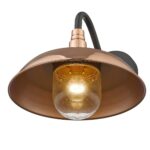 Burry Farmhouse Copper Wall Light with Seedy Glass Globe 14 Burry Farmhouse Copper Wall Light with Seedy Glass Globe
