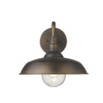 Burry Farmhouse Oil-Rubbed Bronze Outdoor Wall Light
