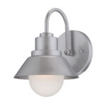 Brushed Silver Outdoor Wall Light with Frosted Glass Shade