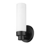 Matte Black Wall Sconce with Frosted Glass Shade