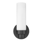 Matte Black Wall Sconce with Frosted Glass Shade