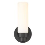 Matte Black Wall Sconce with Frosted Glass Shade