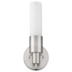 Silver Wall Sconce with Frosted Glass Shade