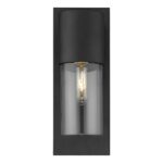 Matte Black and Glass Wall Light 10 Matte Black and Glass Wall Light