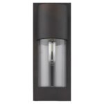 Antique Bronze and Glass Wall Light