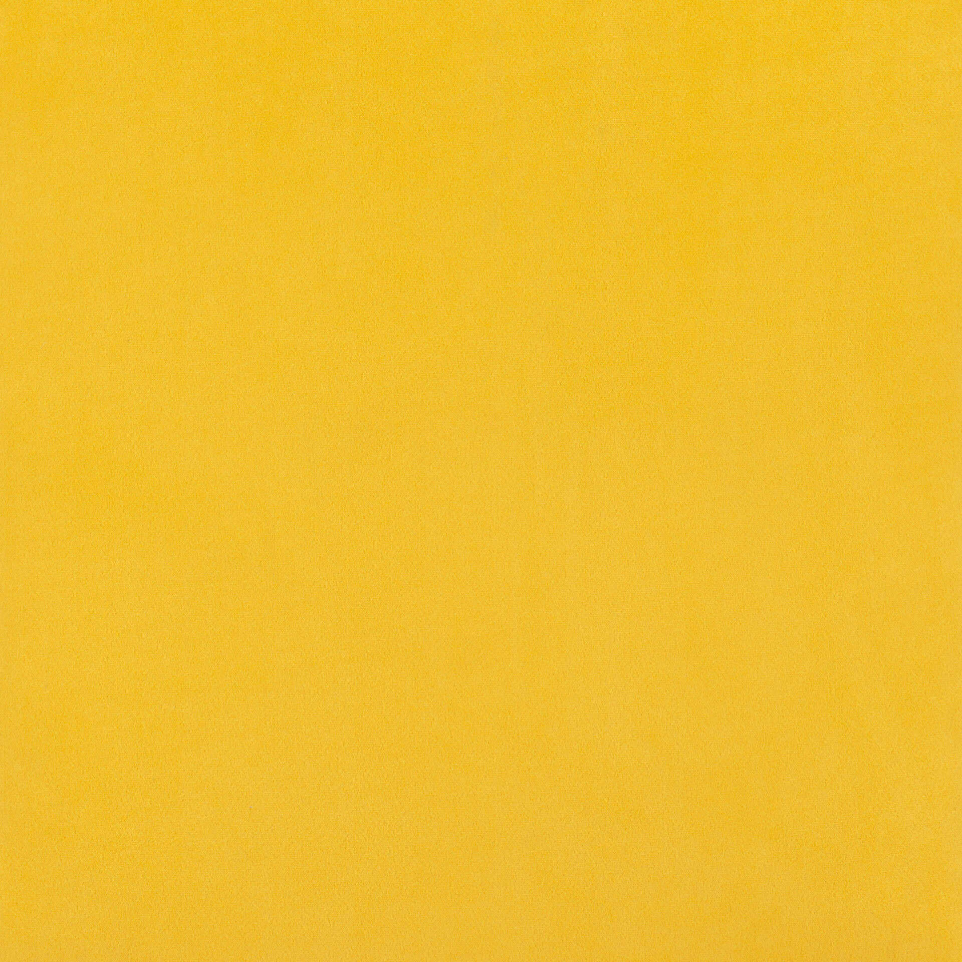 Yellow Velvet Accent Chair with Powder Coated Steel Legs 9 Yellow Velvet Accent Chair with Powder Coated Steel Legs - Image 9