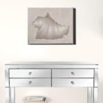 The Conch Matte Canvas Horizontal Wall Art 9 The Conch Matte Canvas Horizontal Wall Art