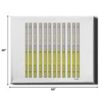 40-Inch x 60-Inch Contemporary Horizontal Wrapped Canvas Wall Art