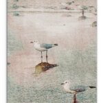 60 x 40 Colorful Bird Wrapped Canvas Wall Art
