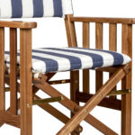 20" Blue and White Teak Director Chair with Cushion