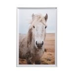 49822 Heida I by Laura Marshall a Framed Art Print Matted under Glass