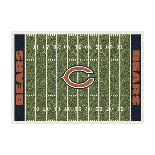 520 5019 Bears