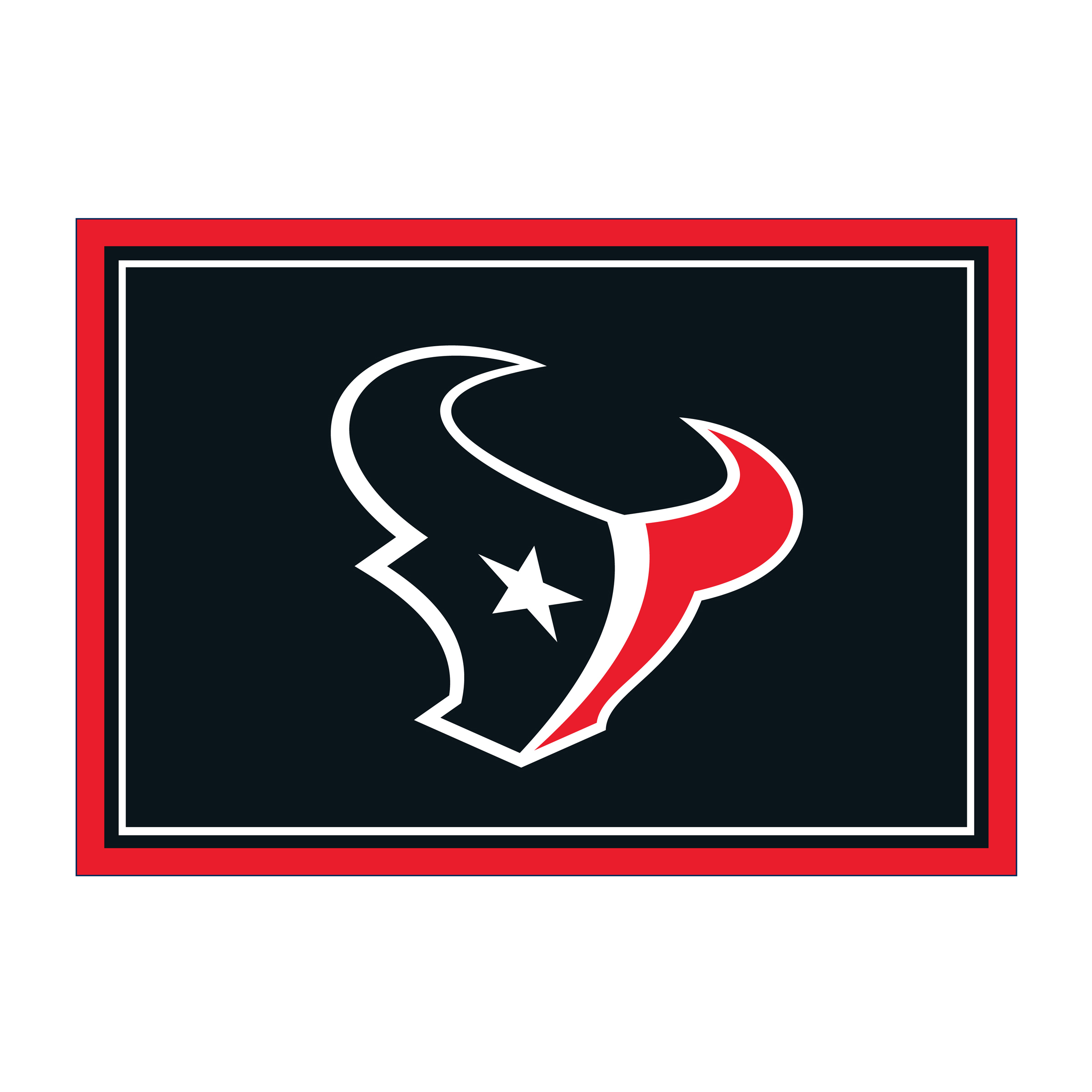 houston texans 4x6 officially licensed premium spirit area rug