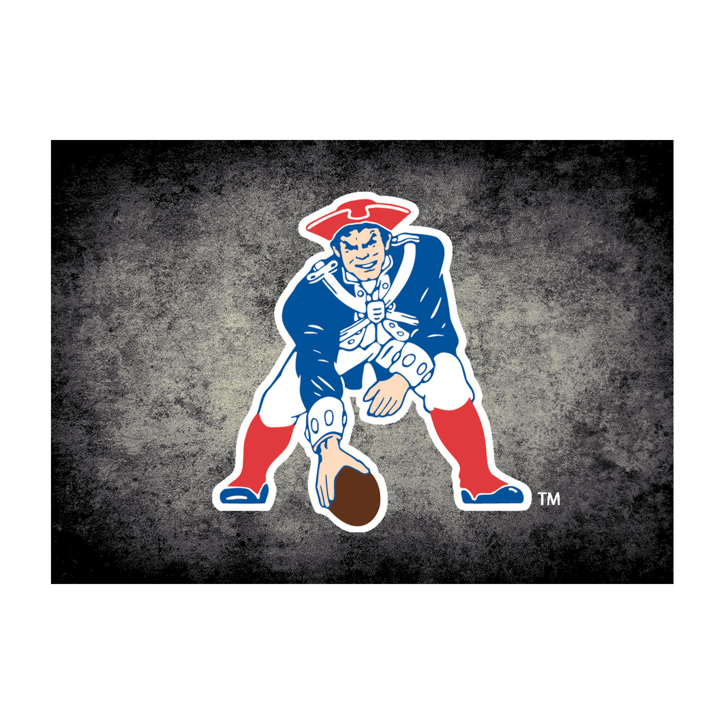 vintage patriots distressed 4x6 area rug