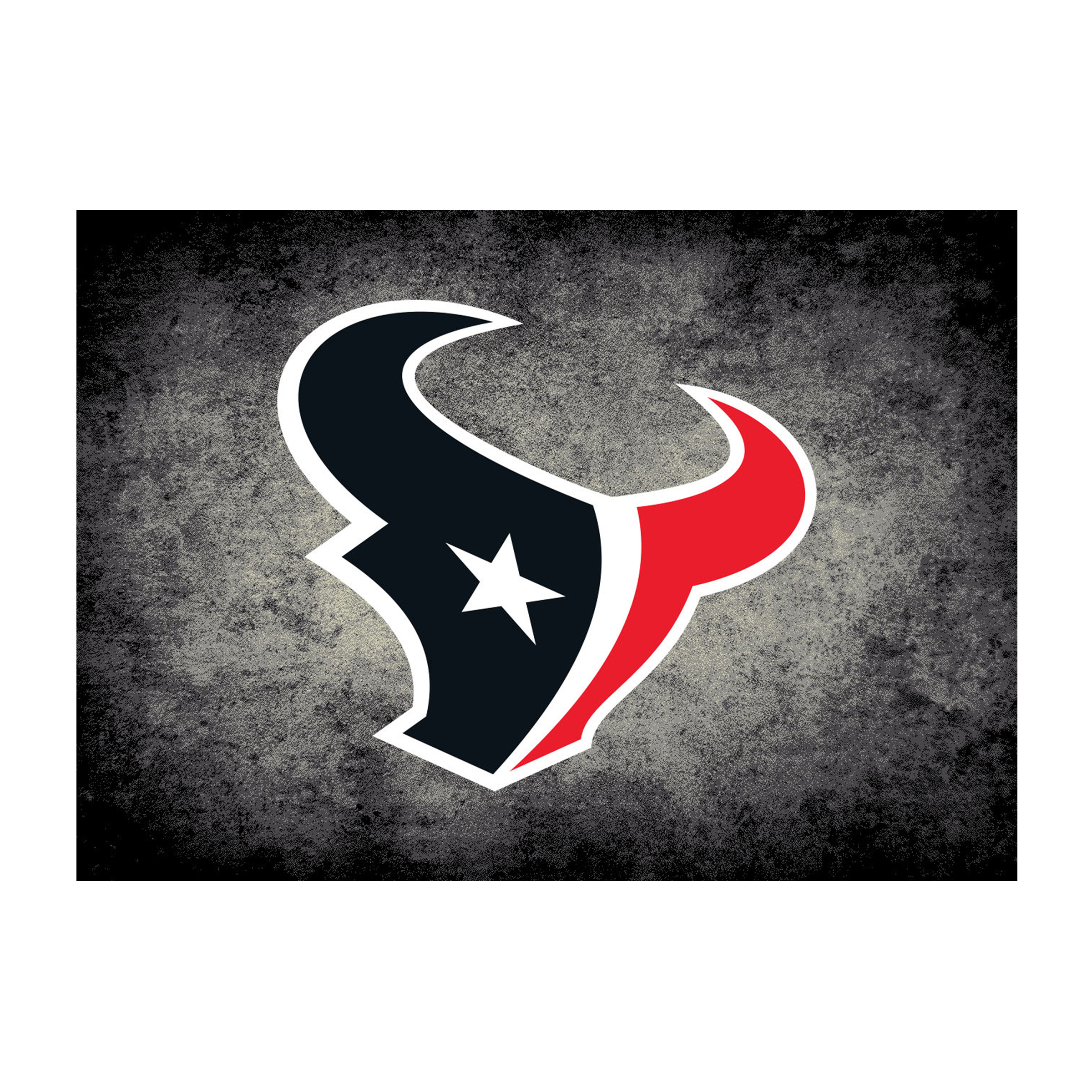 houston texans 4x6 distressed area rug