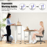 Adjustable Electric Standing Desk with Cable Management Hole 55 Inch