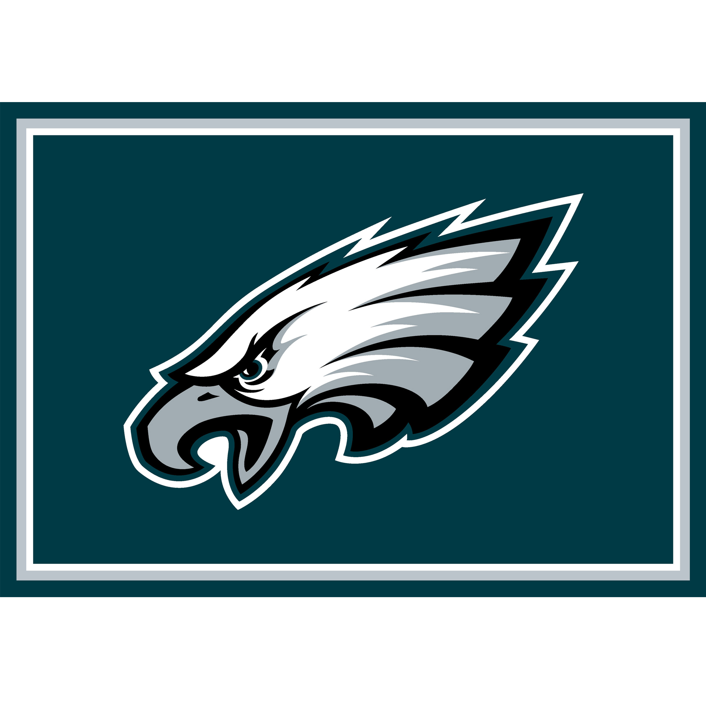 philadelphia eagles 3x4 spirit area rug officially licensed nfl