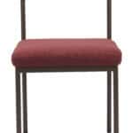 Red Plush Dining Chair with Bronze Steel Frame for Modern Spaces 10 Red Plush Dining Chair with Bronze Steel Frame for Modern Spaces