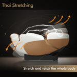 Zero Gravity Shiatsu Massage Chair with Heat and SL Track 21 Zero Gravity Shiatsu Massage Chair with Heat and SL Track