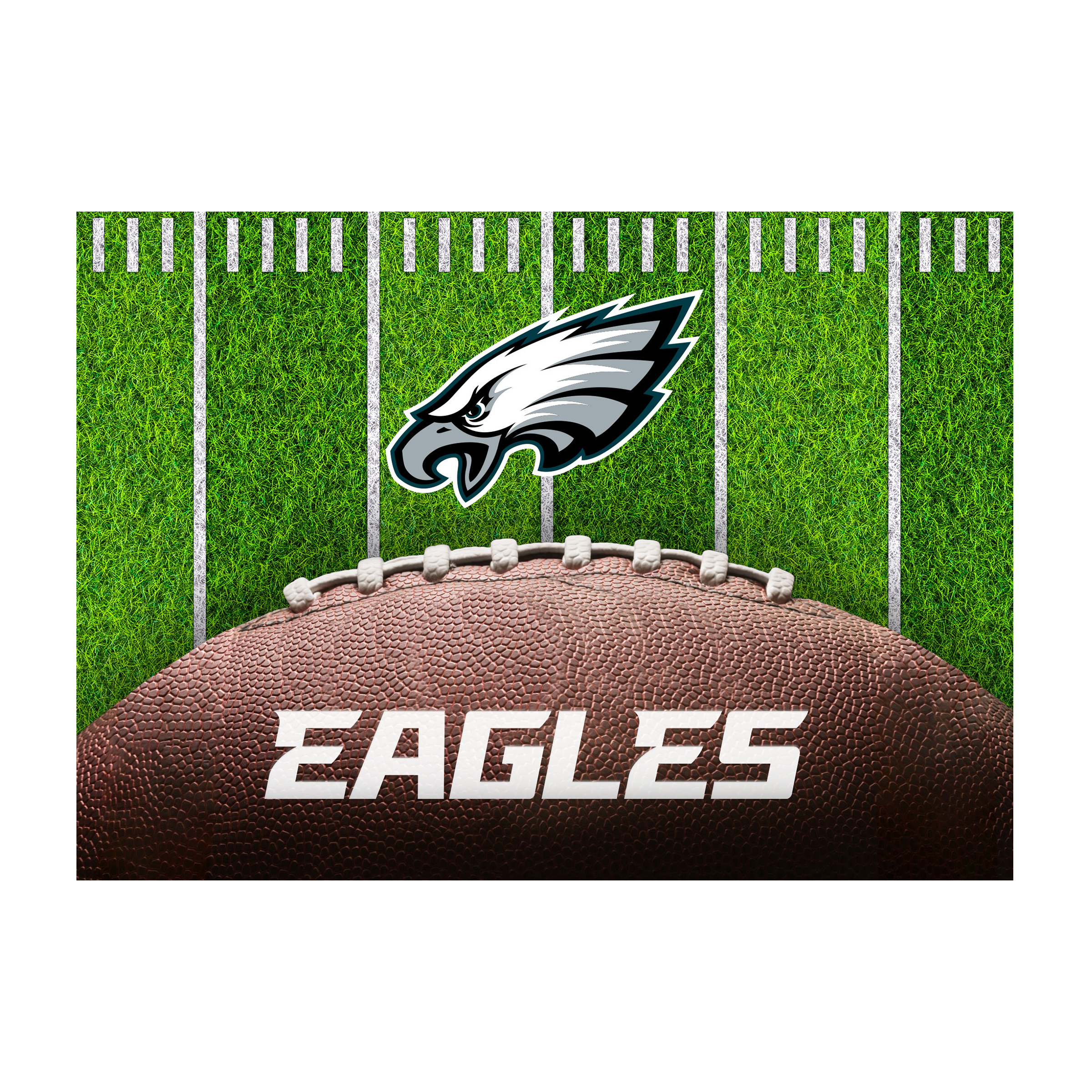 philadelphia eagles football field 5x7 washable area rug