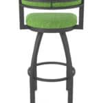 25-Inch Steel Swivel Counter Stool with Pewter Finish, Graph Parrot 2.5-Inch Cushion Seat, Low Curved Padded Back, and Single-Ring Base