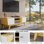 Sliding Door TV Stand with Adjustable Shelf for 55 Inch TVs 27 Sliding Door TV Stand with Adjustable Shelf for 55 Inch TVs