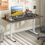 Adjustable Electric Standing Desk with Cable Management Hole 55 Inch