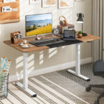 Adjustable Electric Standing Desk with Cable Management Hole 55 Inch
