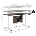 Adjustable Electric Standing Desk with Cable Management Hole 55 Inch